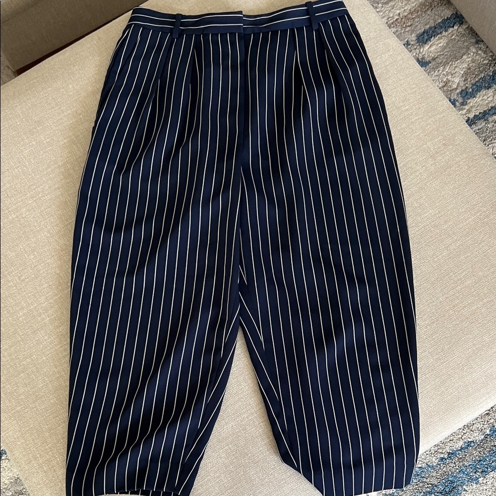 Babaton Navy Pinstripe Pleated Dress Pants